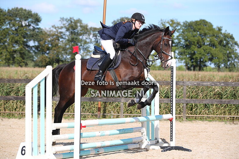 Groenewoude Springen 29-09-2024 Paarden 60/70 cm