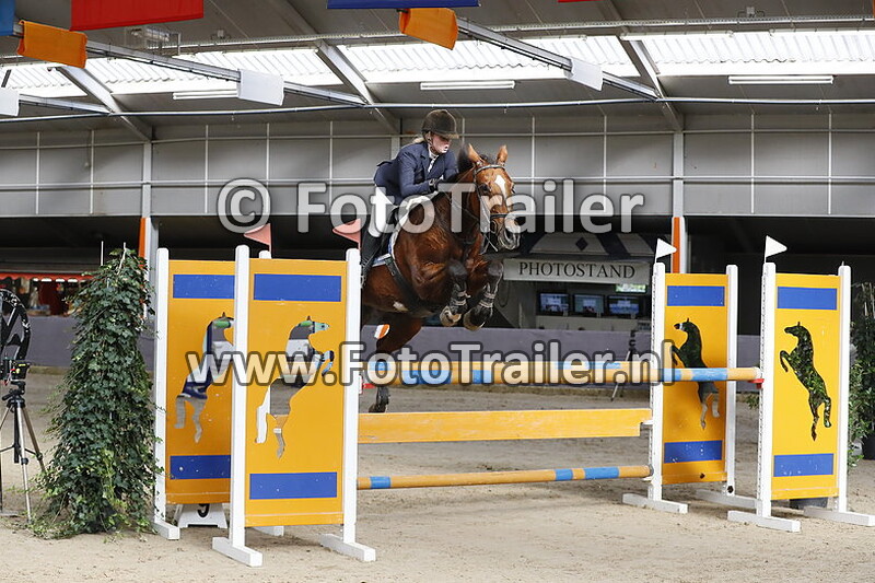 merle kijk in de vegte