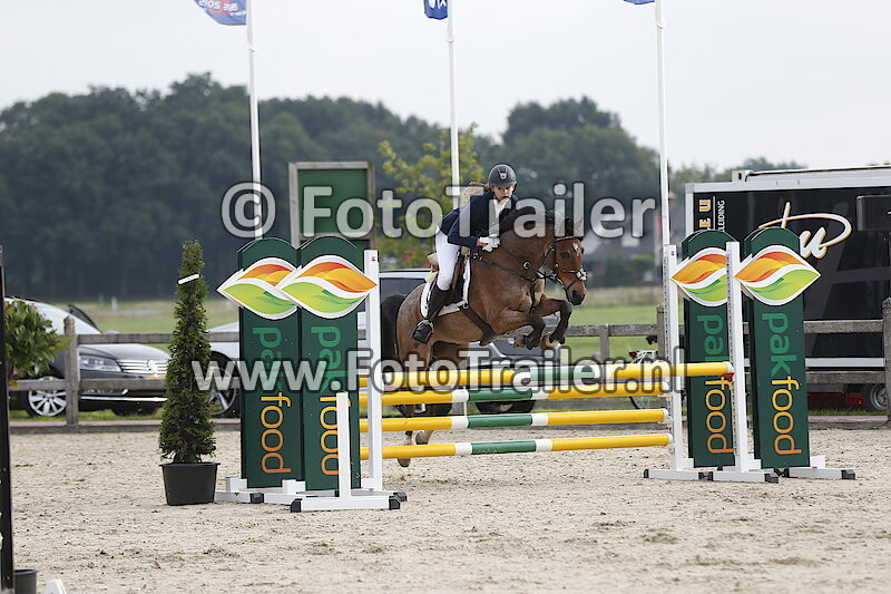 Demi kattenpoel oude Heerink