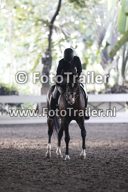 Wilbert Dietriech S.