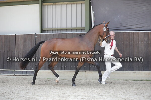 226 Mikal-Zelma (Expression x Cazelma Oscar)