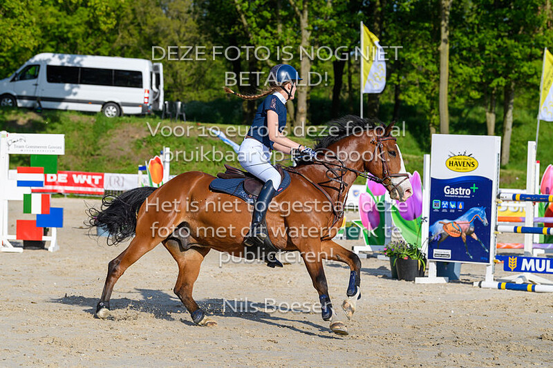 S23 Springen DE 120cm