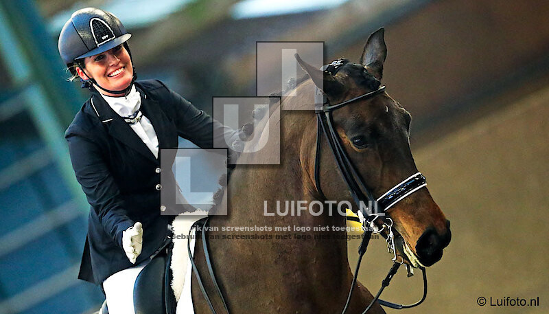 Indoor regio paarden dressuur