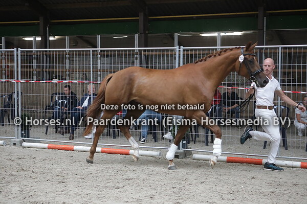 135 Rousteign Vanck VD Biebosschen v. Johnson)