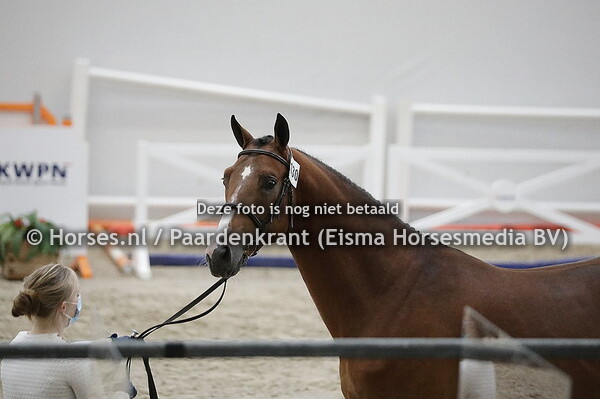 130 Ons Geert (I'ts Possible  x Excellent Choice v. Arezzo VDL)