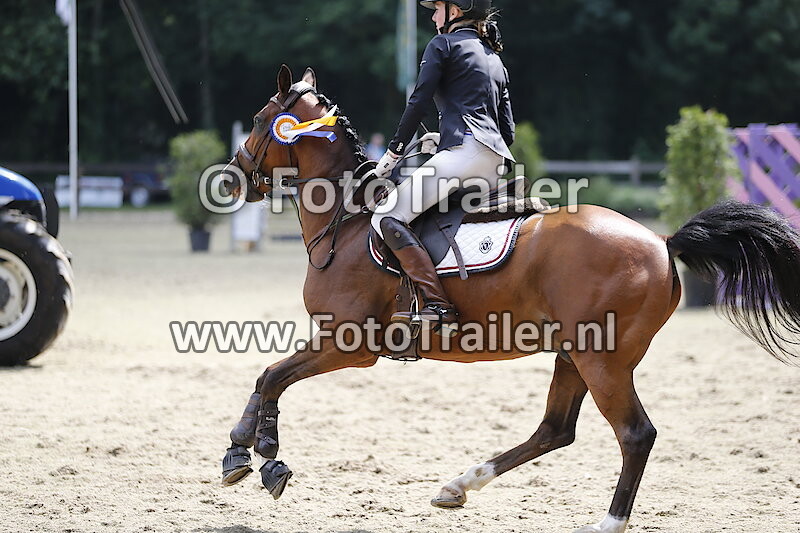 Rubriek 70 - Klasse L Cat. D