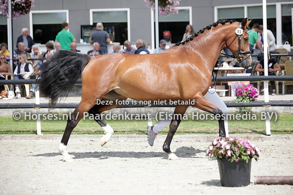 93 Marixandra KHD (Fashion Maker x Dexamdra v. Rhodium)