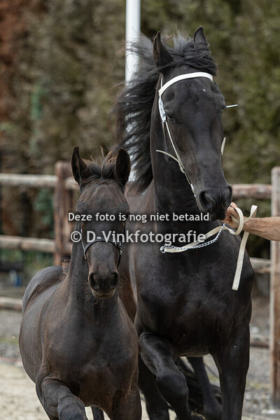 60. Fienke fan D'Oever