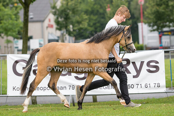 Memorial Rudy Landuyt