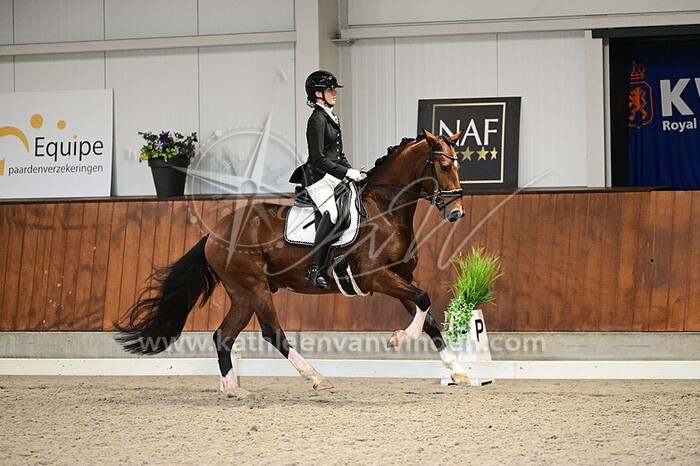 Ruby van Gelder - Sting SP