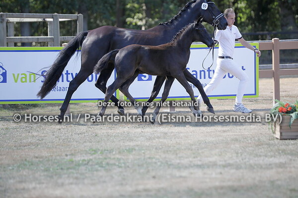 55 Second One (Number two x fantastic)