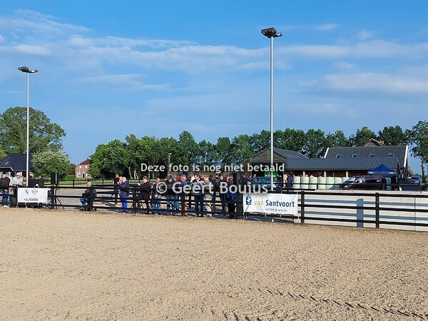 Veulenkijkavond KWPN regio Noord 2024