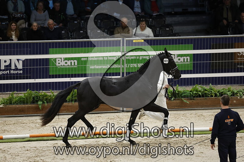 Rico Norel v. Iron - 401