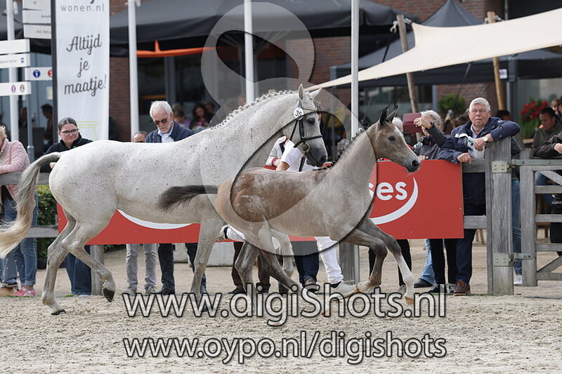 Vinora v. Next in Line