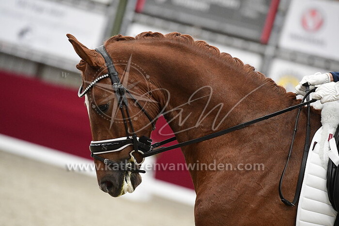 Trudy Logchem - Pascoe