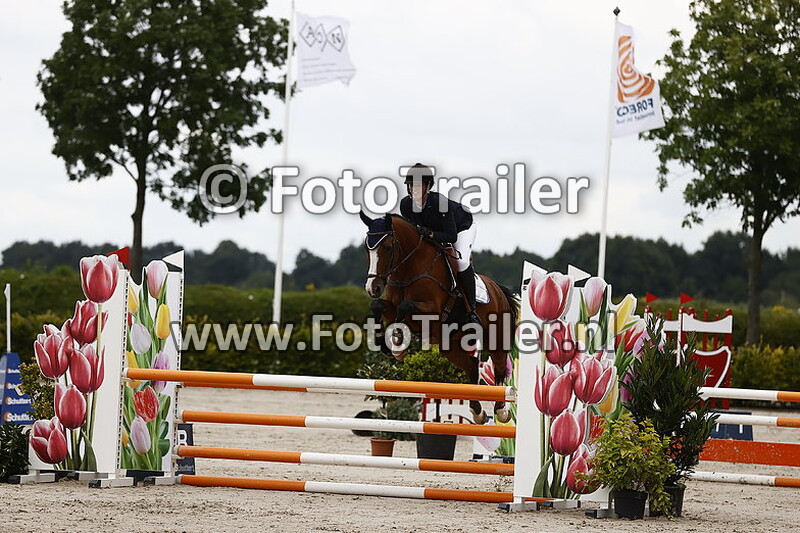 hariette van dalfsen