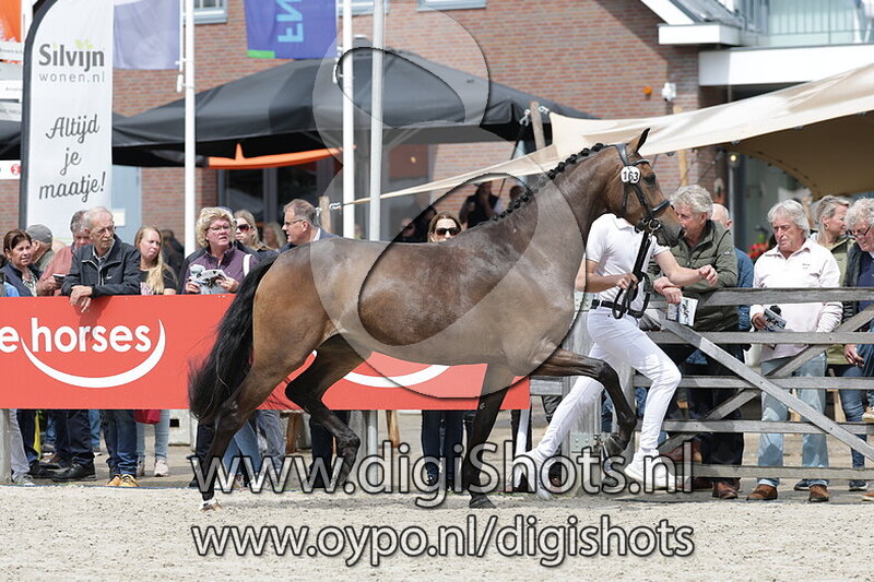 Suzy Marein E v. Florida TN