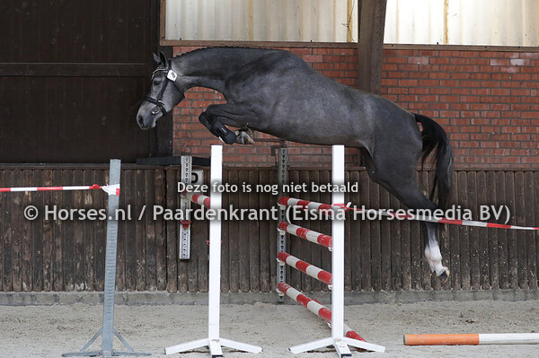 02-06-2021 Stamboekkeuring Varsseveld