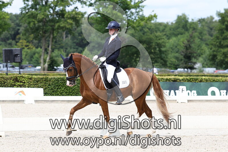 Ring 7 Klasse B cat AB