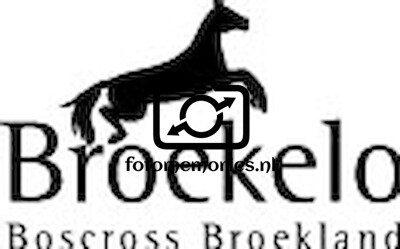 Boscross Broekelo 2016