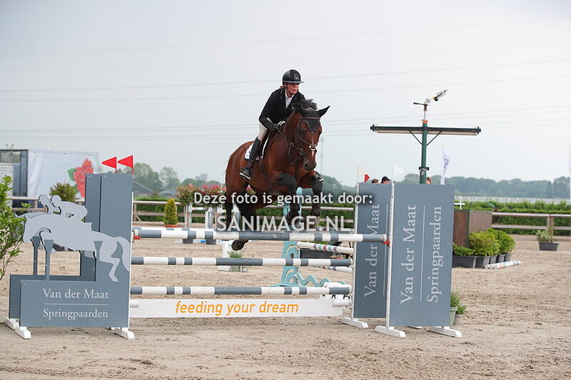 Zilfia's Hoeve Springen Paarden 17-05-2024 120 cm