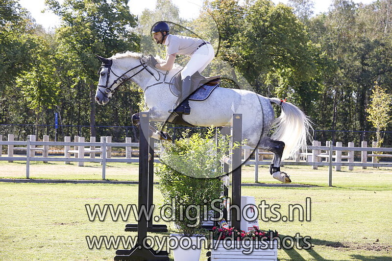 Memphis van de Winterbeek