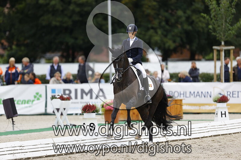 Powerpoint de Tamise