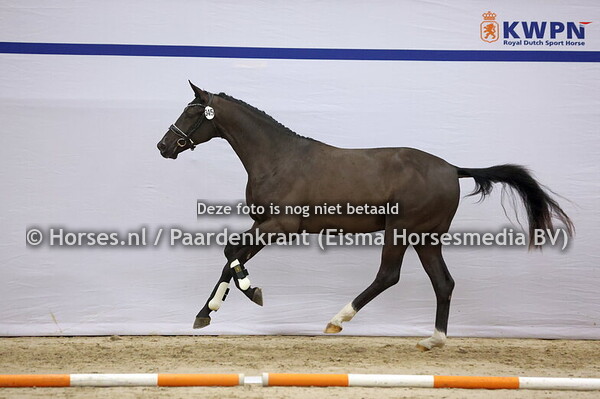 345 (Expectation PS x Rousseau)