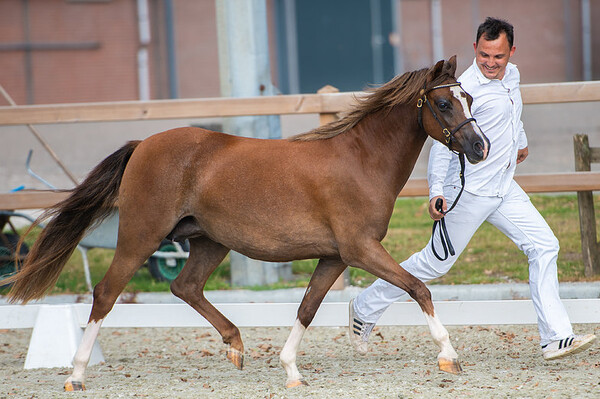 Inspectie NWPCS Putten