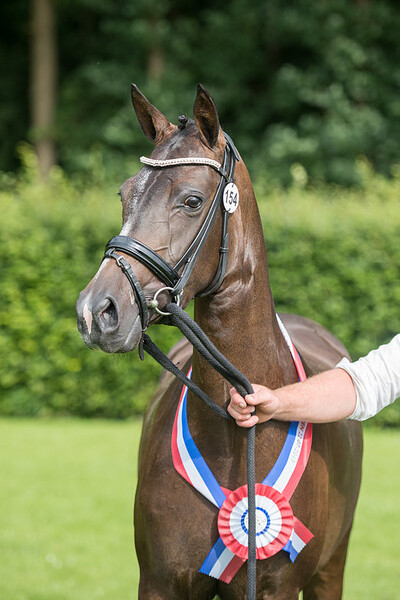 Regionale keuring Heteren