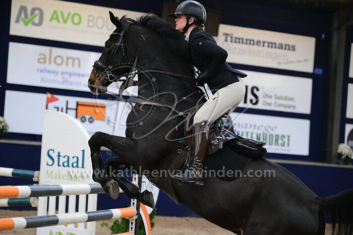 Sammie Aanraad - Impact