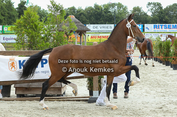 55 - Simone GSM ( Neon GSM x Atleet )