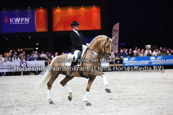01-02-2025 KWPN Den Bosch Gelders paard