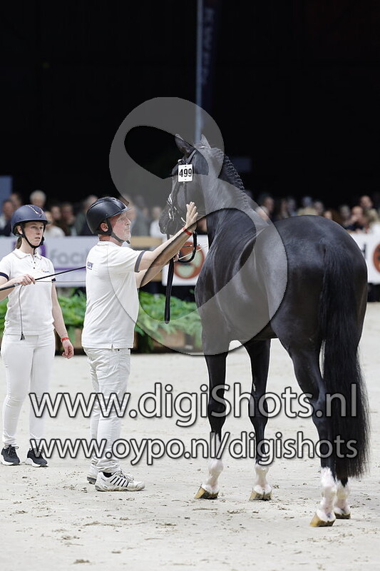 Sarai L v. Secret - 499