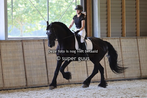 Dressuurclinic Paardenschuur 17 juli 2021