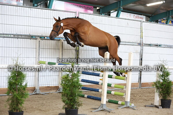 11-07-25 CK en STBK Friesland Springen Harich