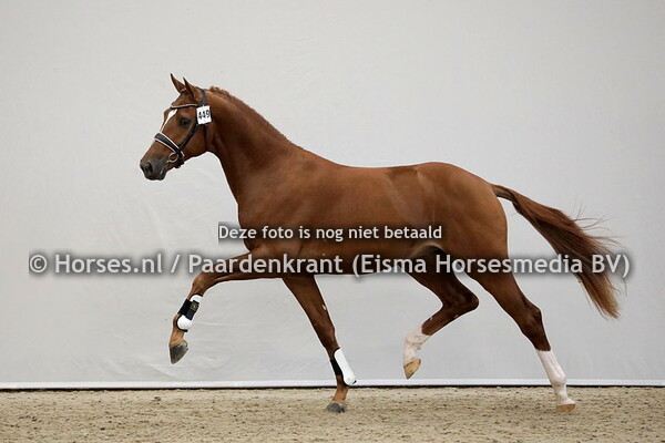 01-12-2020 1e bez KWPN dressuur middag