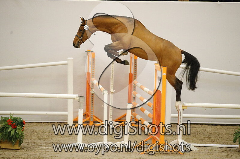 Marvell DSH v. Invictus