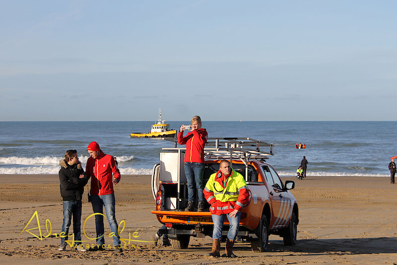 Nieuwjaarsduik Scheveningen 2016