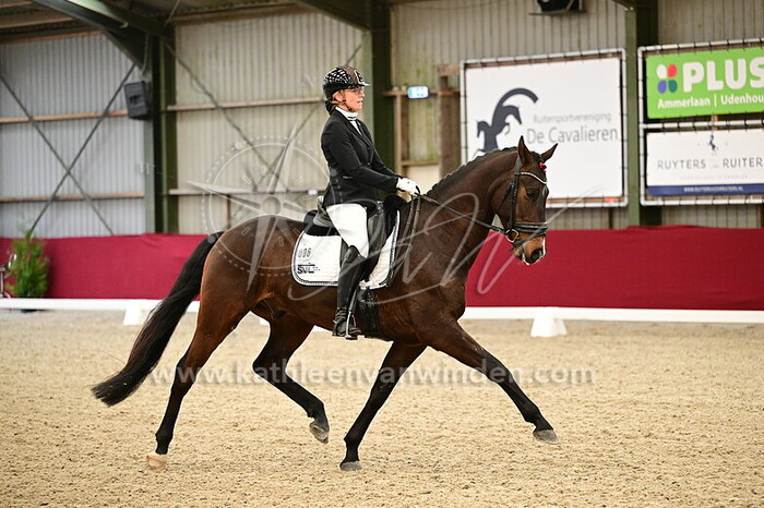 Denise van den Dries - Ovito