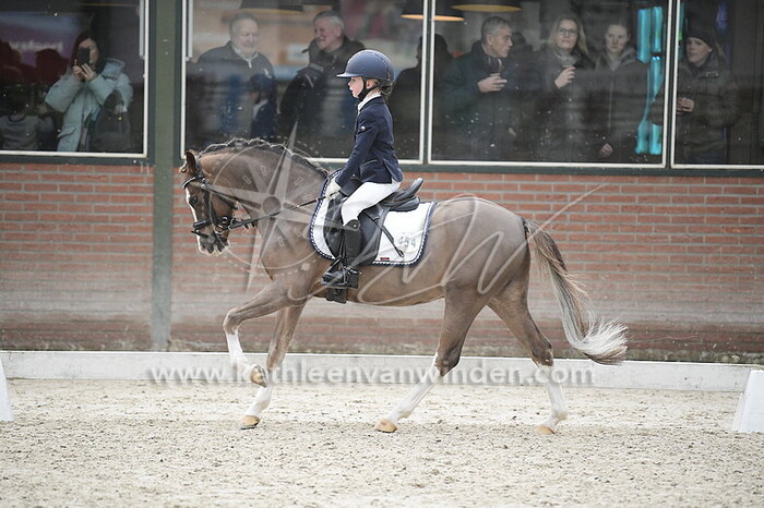 Ninthe Kinneging - Vosco's Incredible Boy