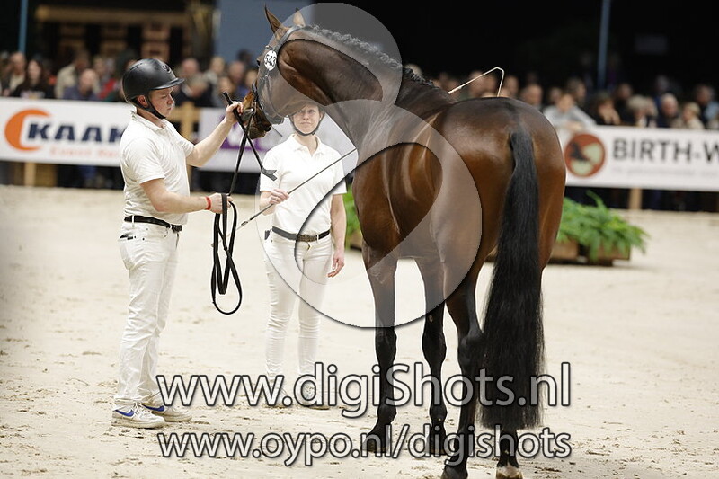 Rebellion v. Vivino - 543