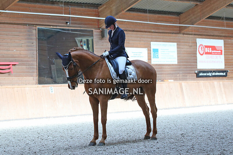 PV Midland Dressuur 26-03-2022 10.45 uur