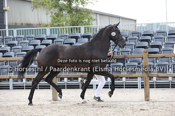 93 Niva Corieta Texel