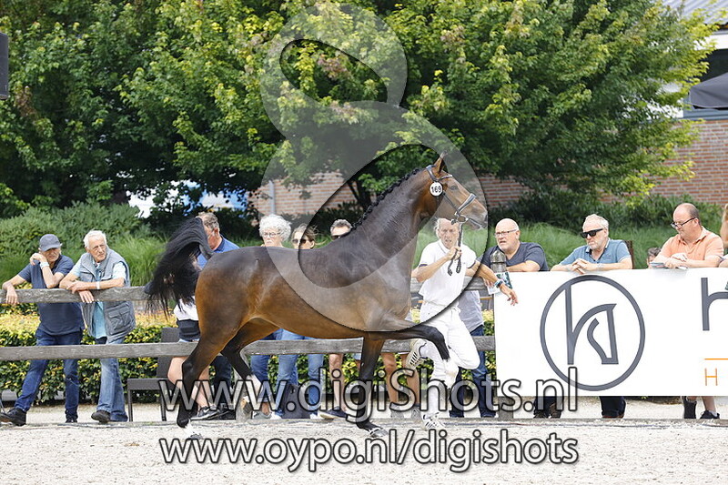 169 Naturel Ieni K v. Vitalis