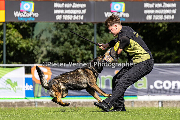 Lot nr 12 Anne Eitens 