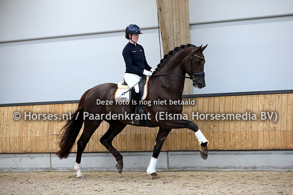 30-11-24 KWPN VO Najaar dressuur