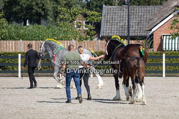 15. Merriekampioenschap