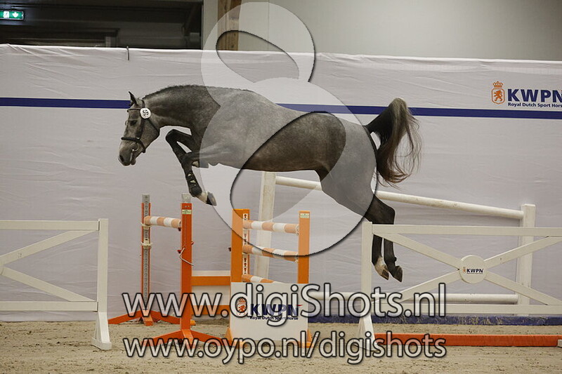 Sicario v. Dia Corrado