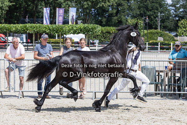 70. Aukje van het Leuven